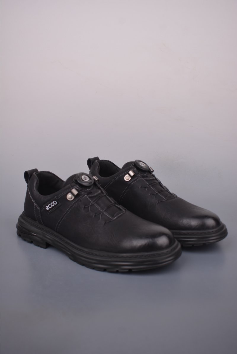 ECCO Biom