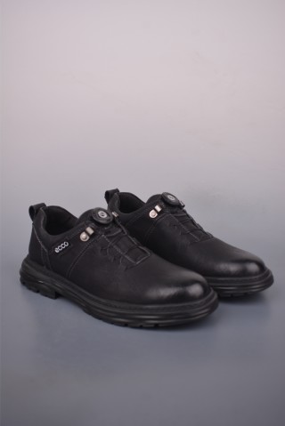 ECCO Biom view 1