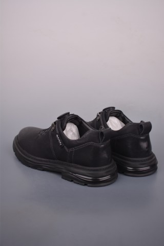 ECCO Biom view 2
