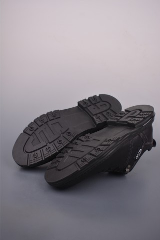 ECCO Biom view 3