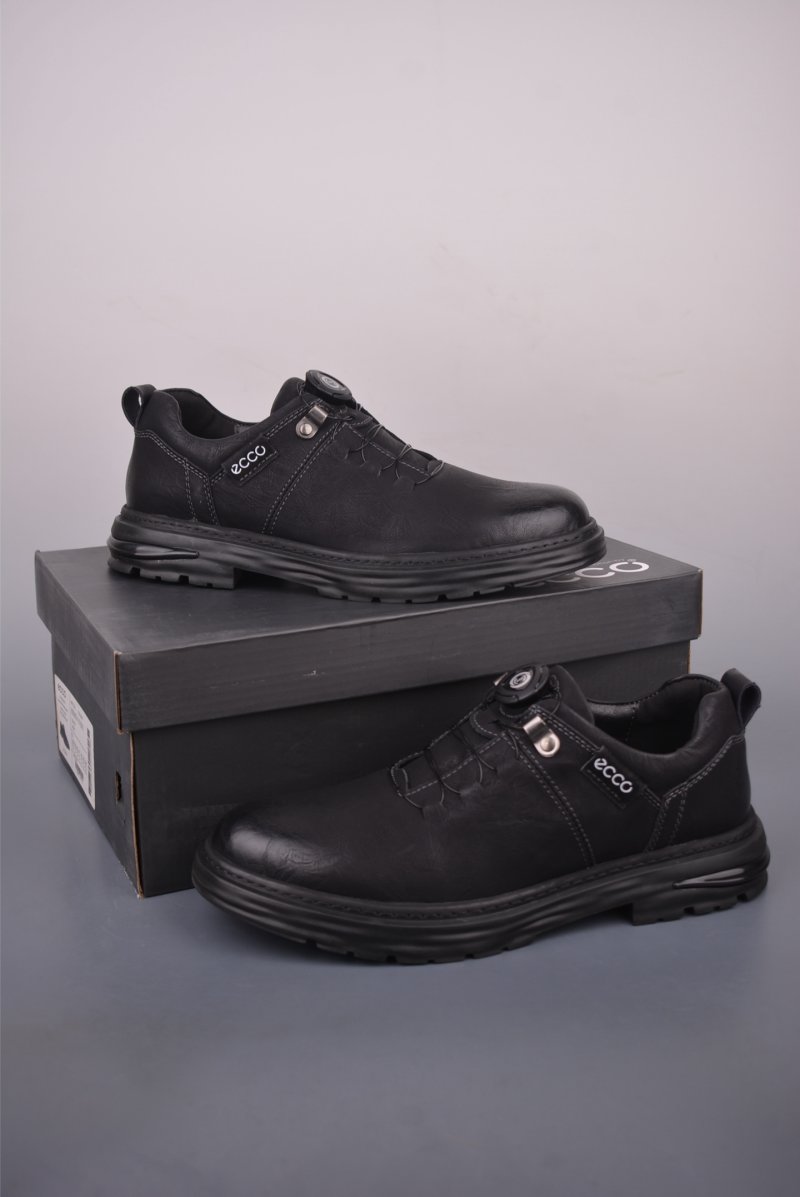 ECCO Biom view