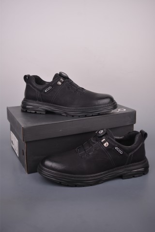 ECCO Biom view 5
