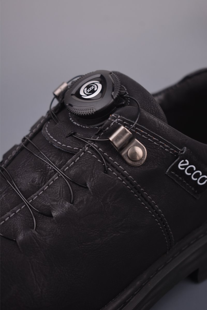 ECCO Biom view