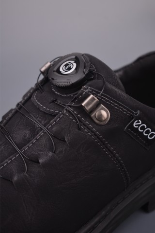ECCO Biom view 7