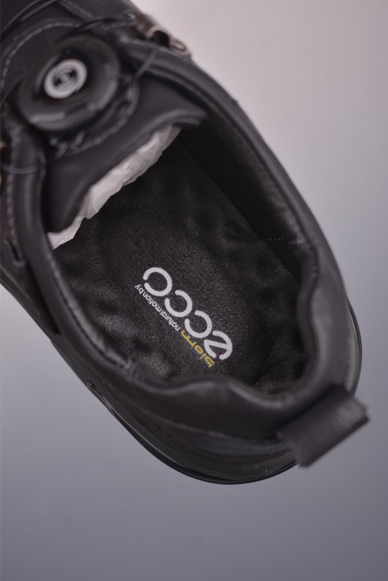 ECCO Biom view