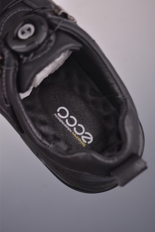 ECCO Biom view 9