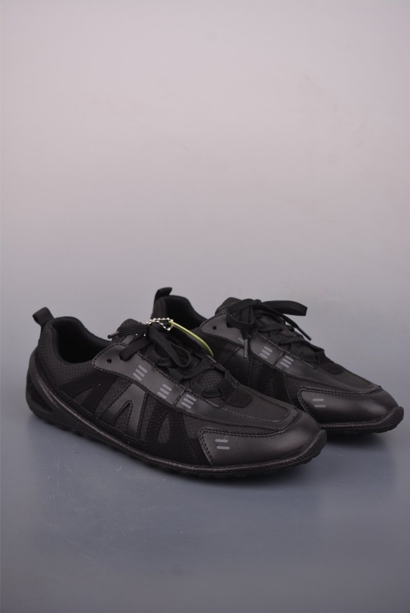 ECCO Biom