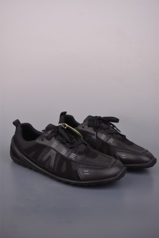 ECCO Biom view 1