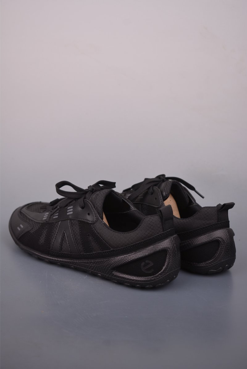 ECCO Biom view