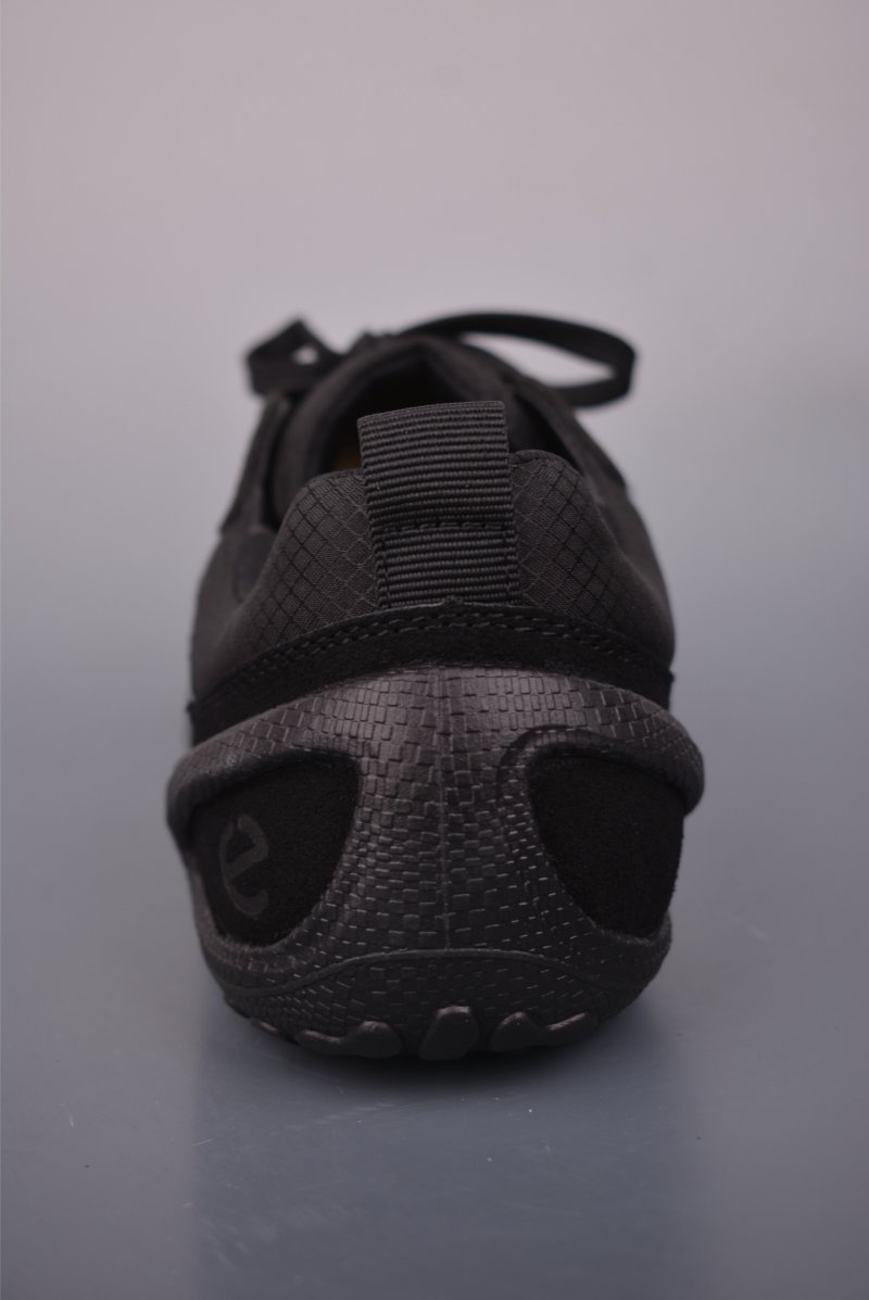 ECCO Biom view