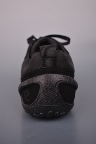ECCO Biom view 4