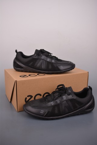 ECCO Biom view 5