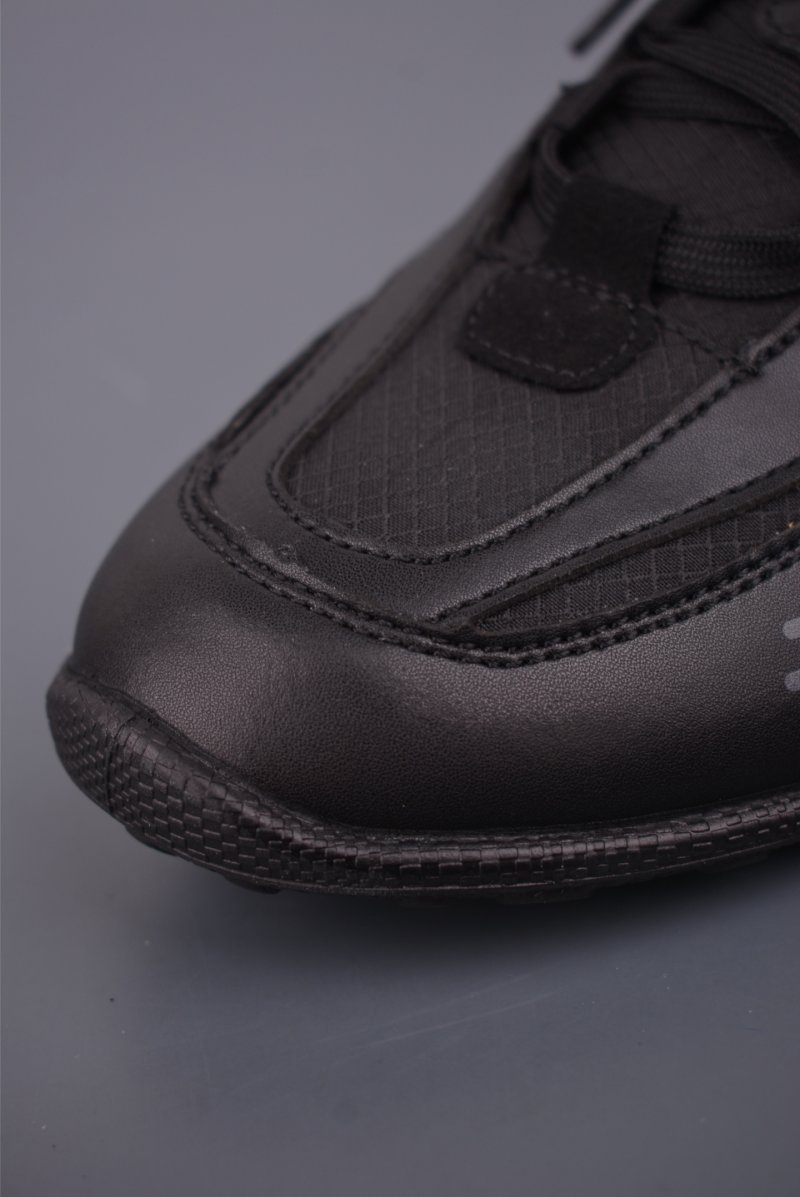 ECCO Biom view