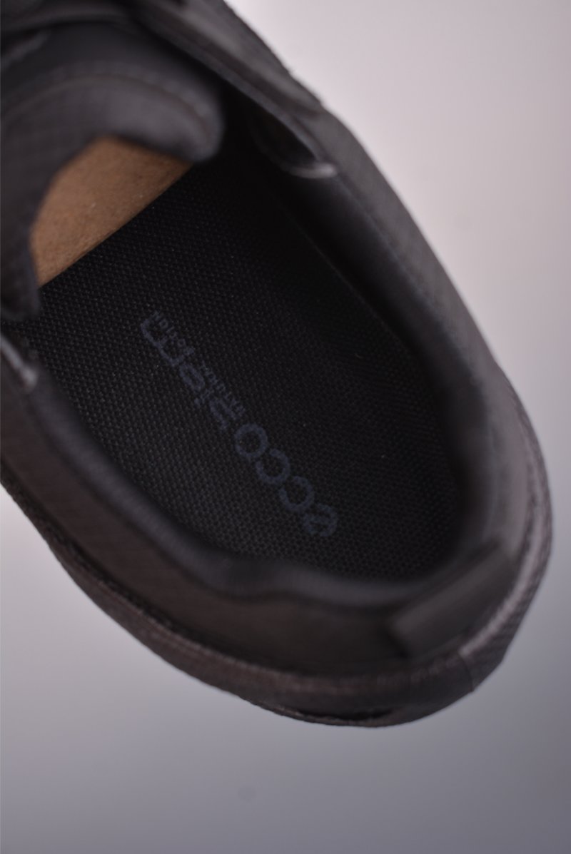 ECCO Biom view