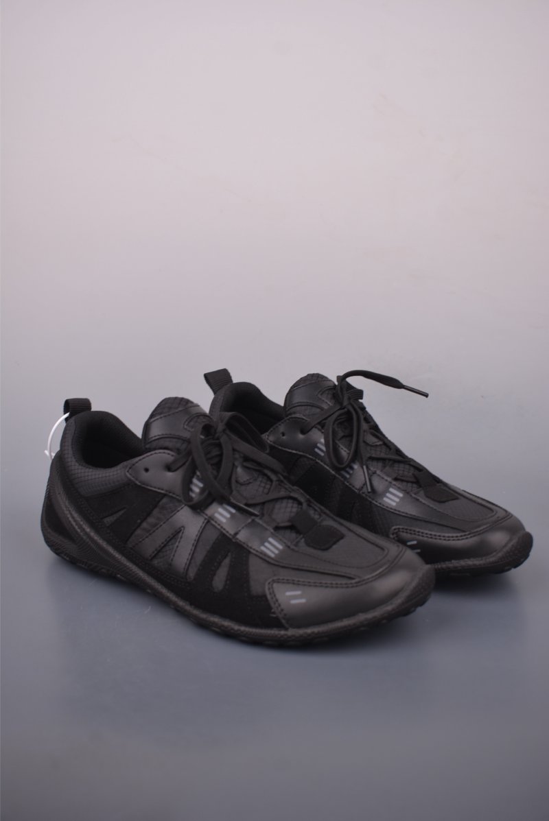 ECCO Biom