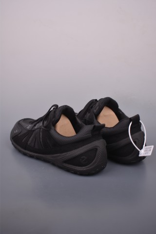 ECCO Biom view 2