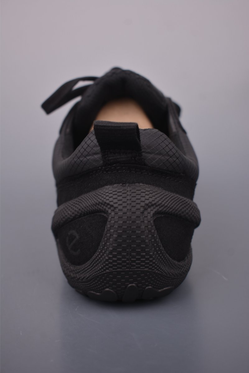 ECCO Biom view