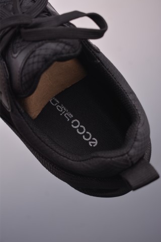 ECCO Biom view 9