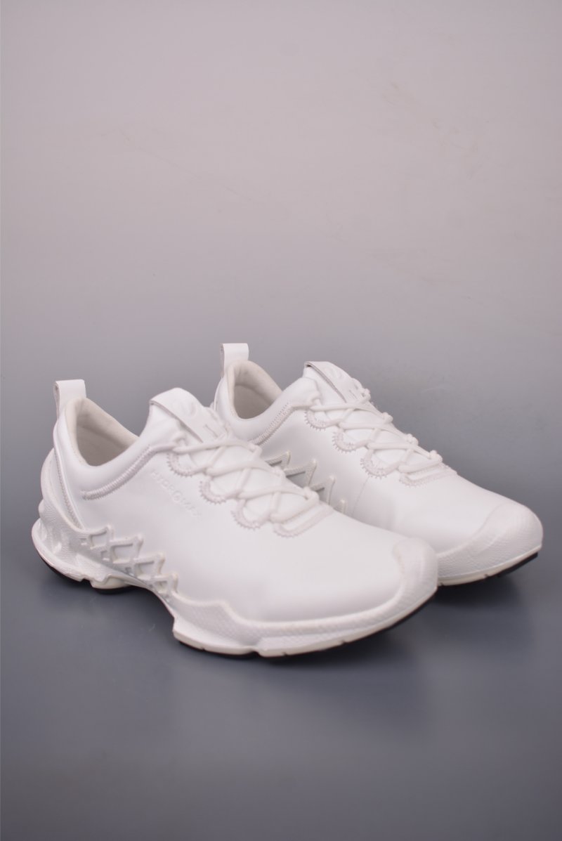 ECCO Biom