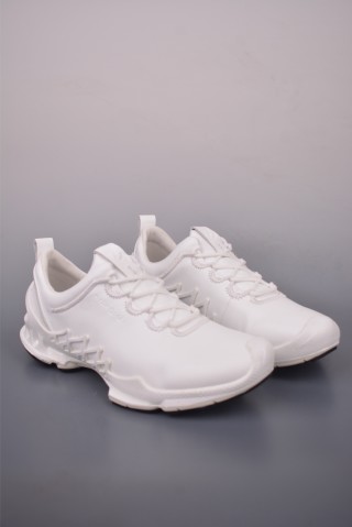 ECCO Biom view 1