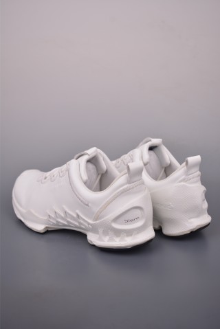 ECCO Biom view 2