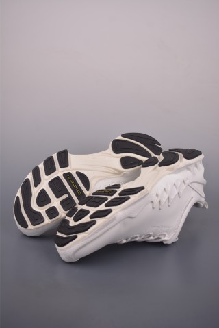 ECCO Biom view 3