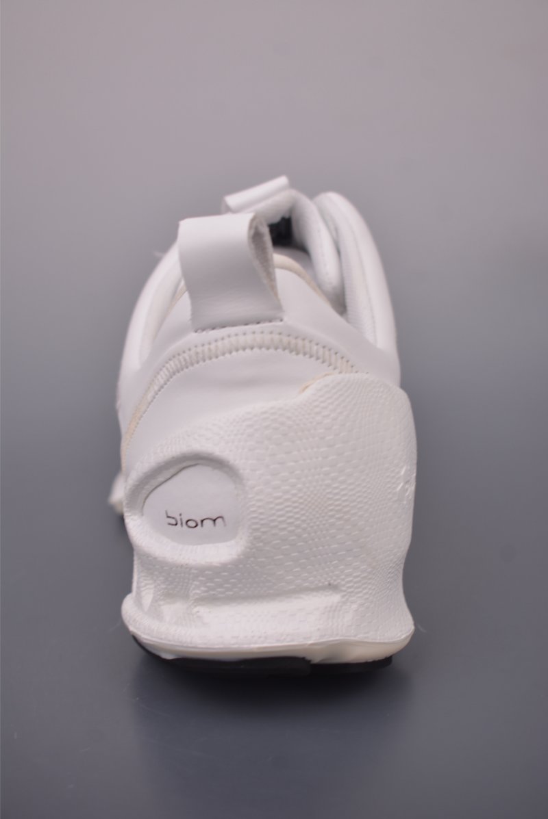 ECCO Biom view