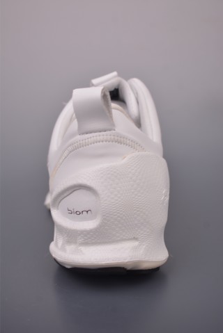 ECCO Biom view 4