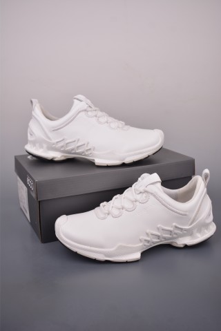 ECCO Biom view 5