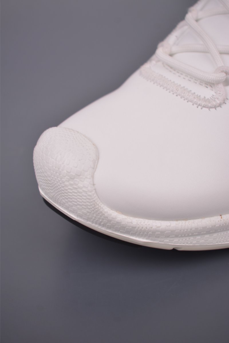 ECCO Biom view