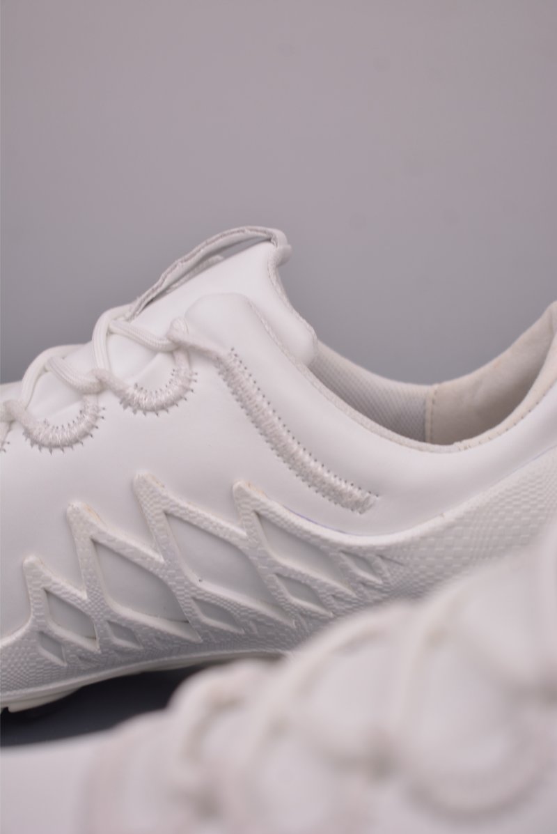 ECCO Biom view