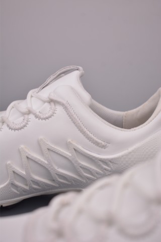 ECCO Biom view 8
