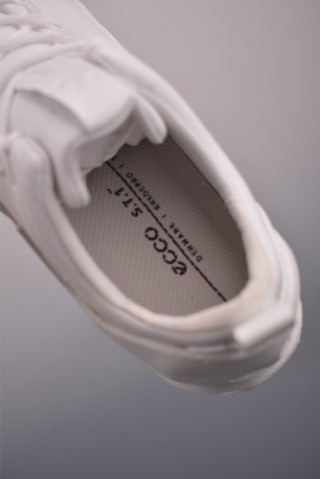ECCO Biom view 9