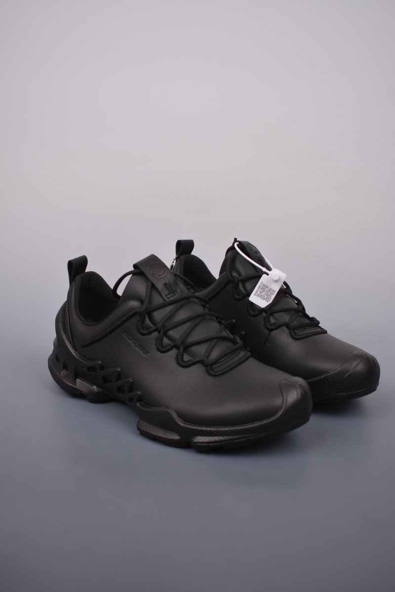 ECCO Biom