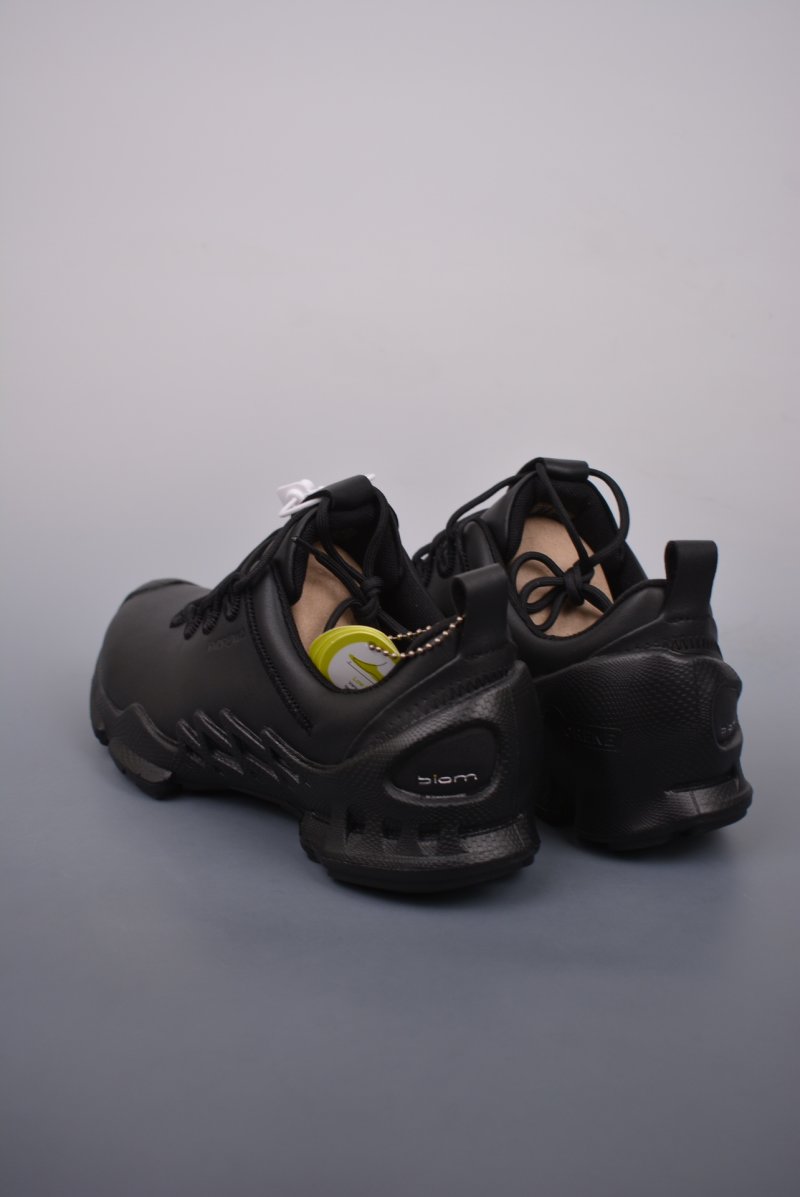 ECCO Biom view