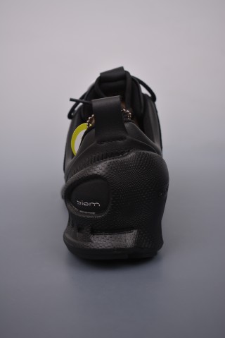 ECCO Biom view 4