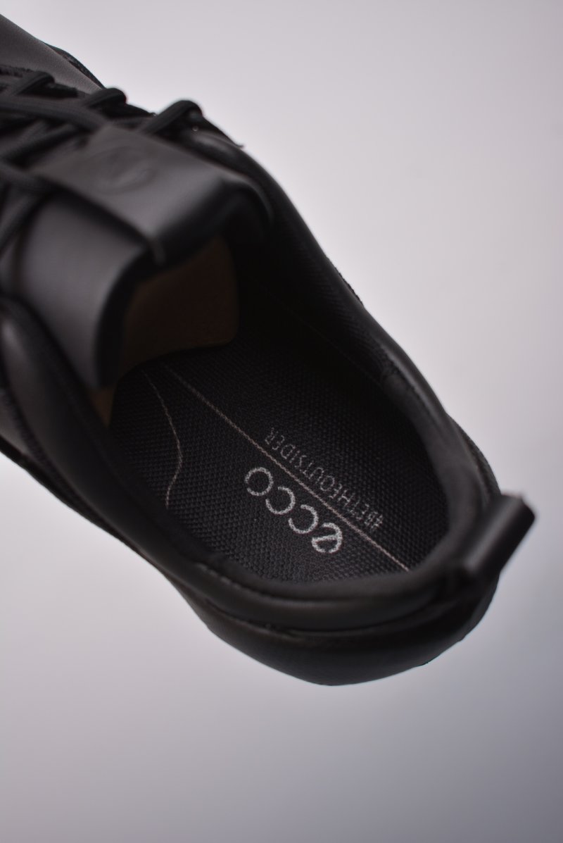 ECCO Biom view