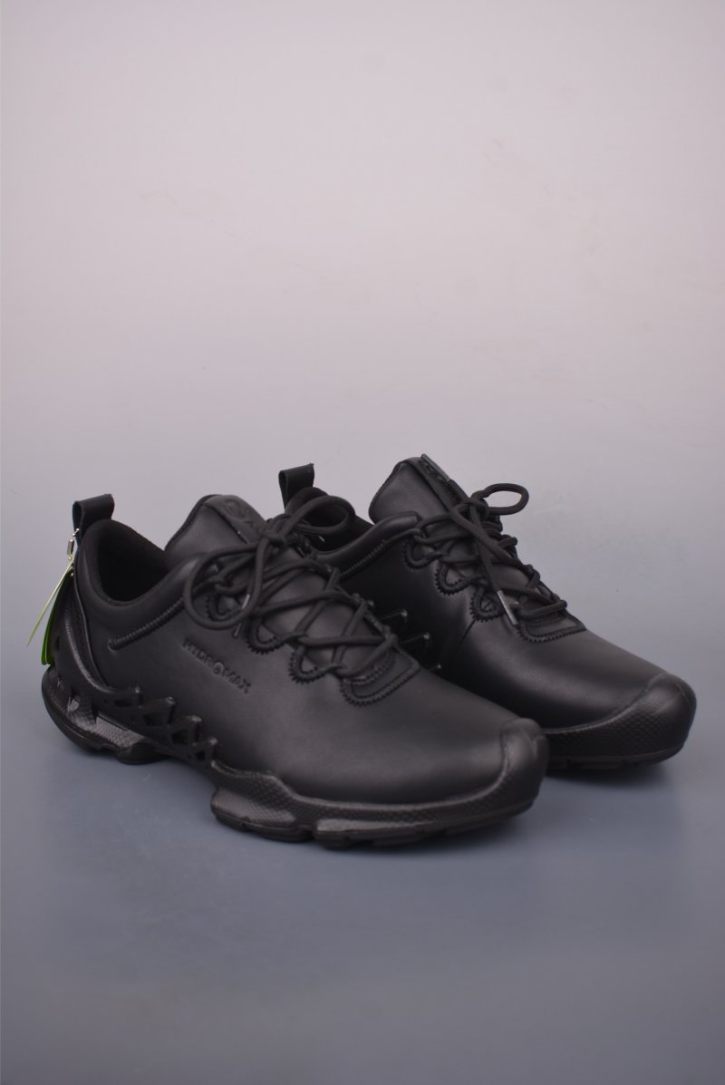 ECCO Biom