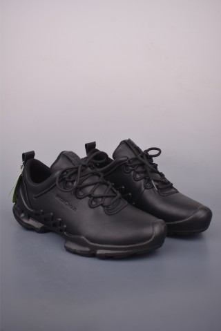 ECCO Biom view 1