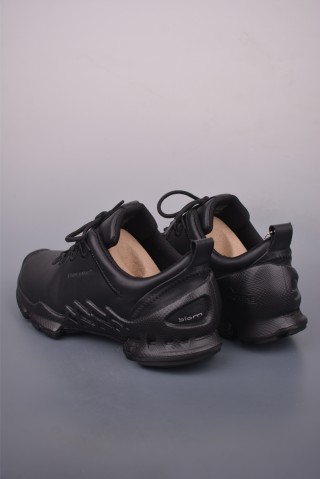 ECCO Biom view 2