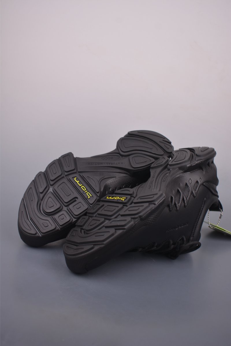 ECCO Biom view