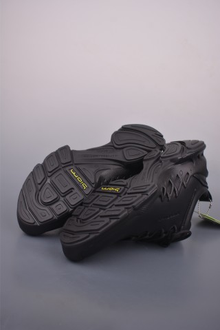 ECCO Biom view 3