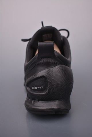 ECCO Biom view 4