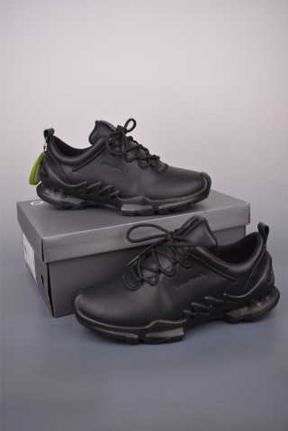 ECCO Biom view 5