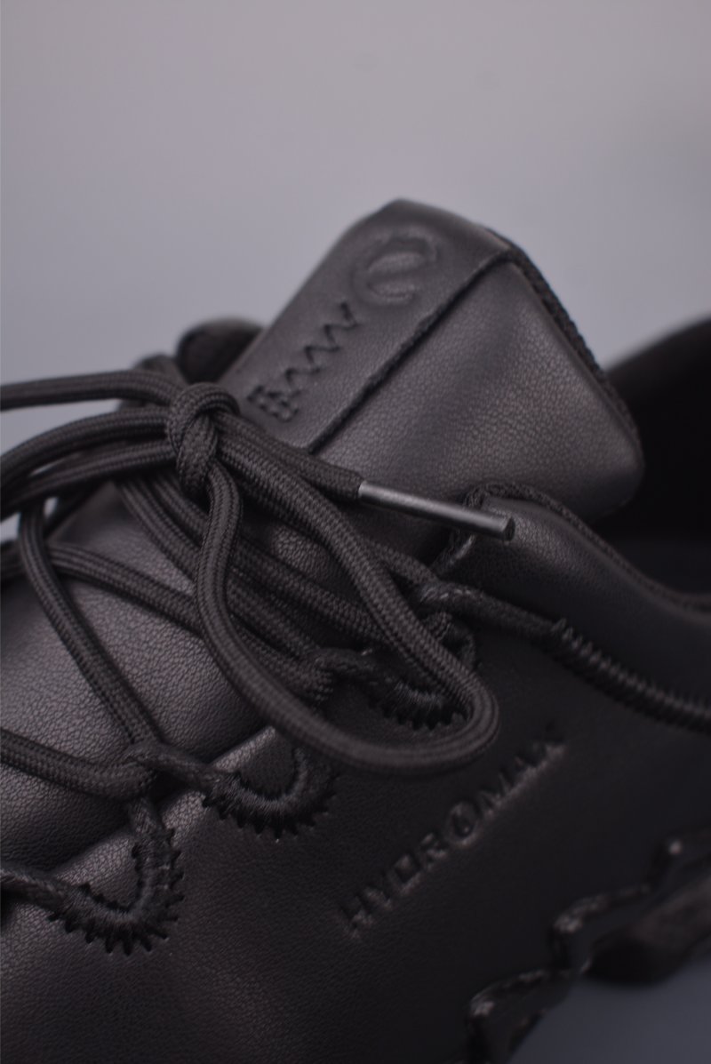 ECCO Biom view