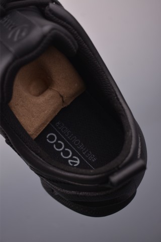 ECCO Biom view 9