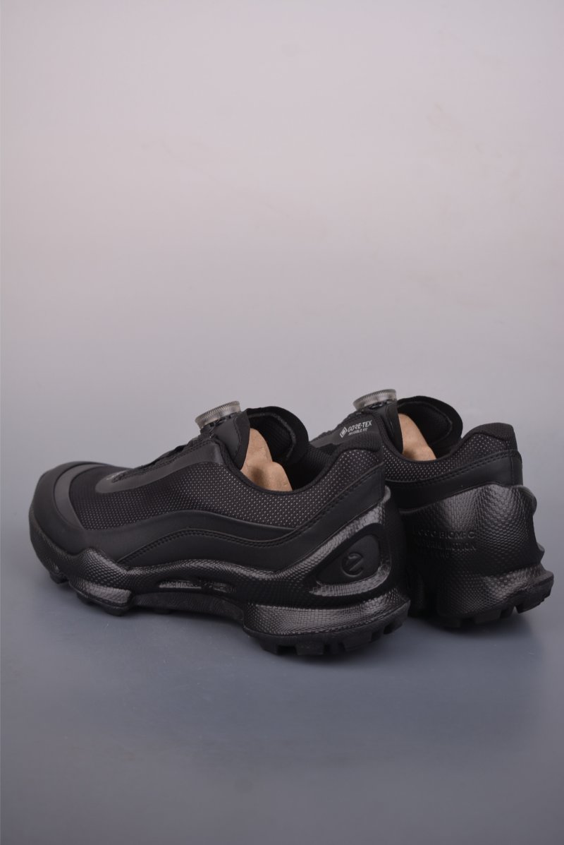 ECCO Biom view