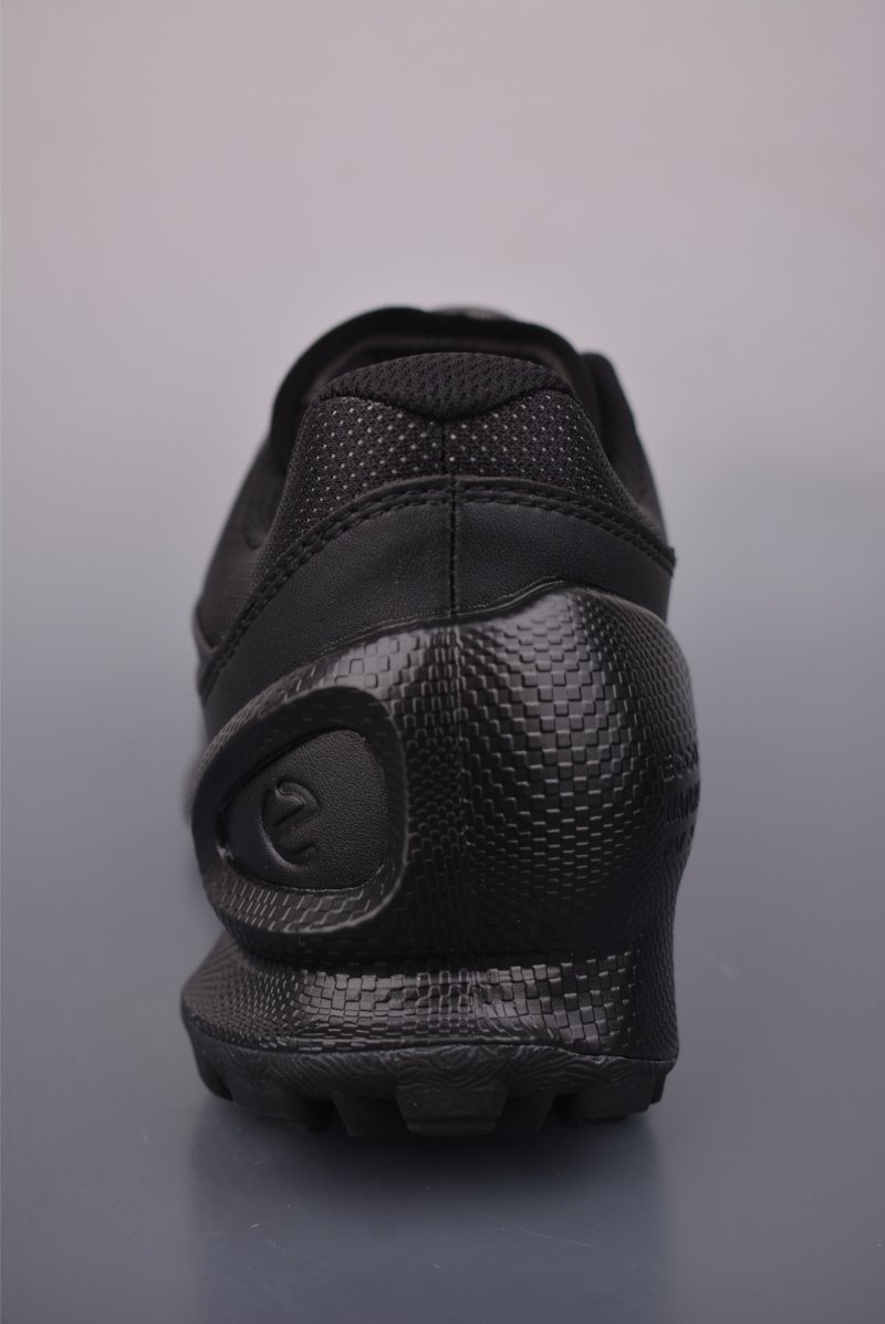 ECCO Biom view