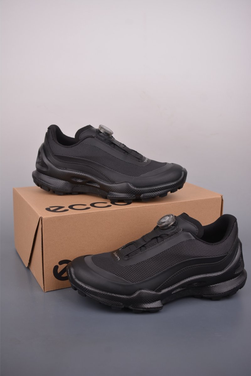 ECCO Biom view