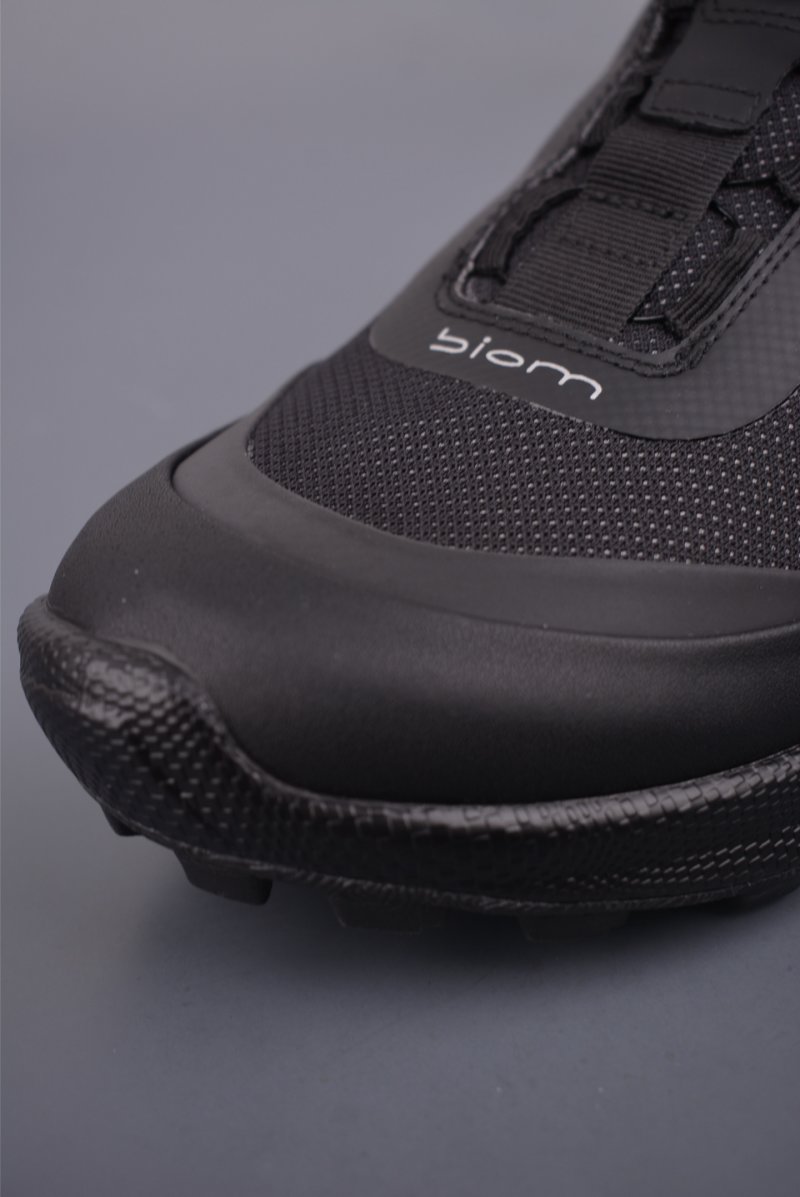 ECCO Biom view